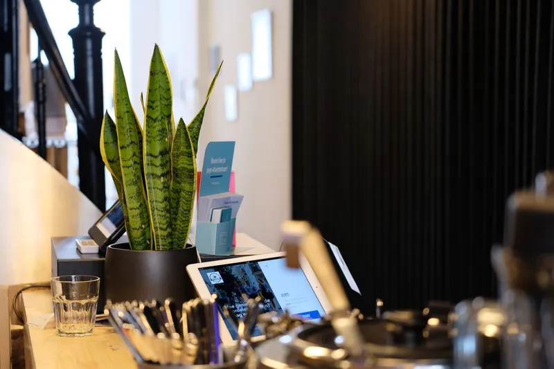 Studio reception